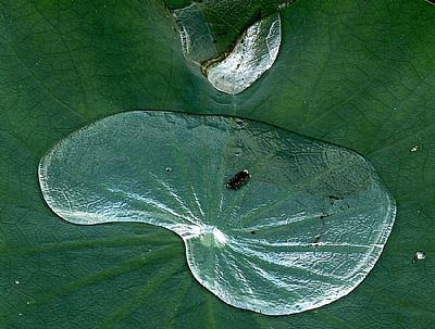 Αδιαβροχοποίηση συνθετικό ύφασμα NanoPlus (400ml)