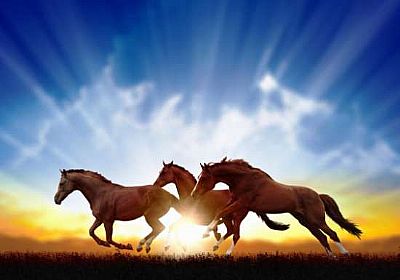 Τζέλ θερμότητας 250ml